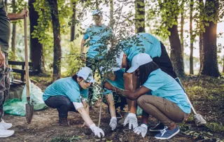 Diversität in der Gesellschaft: Eine Zukunft, die auf Inklusion basiert