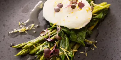 Burrata mit gebratenem Spargel