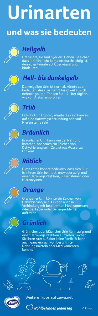Liste mit Urinfarben und -beschreibungen mit einem weißen Bild einer mit einer Lupe in eine Toilette schauende Person.