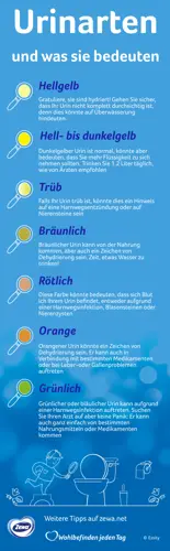 Liste mit Urinfarben und -beschreibungen mit einem weißen Bild einer mit einer Lupe in eine Toilette schauende Person.