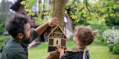 Anleitung zum Insektenhotel selber bauen