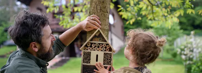 Jak vyrobit hmyzí hotel