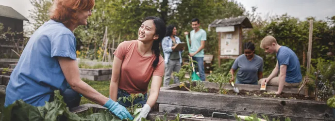 Eine Gruppe von Menschen jeder Altersgruppe arbeiten freudig gemeinsam in einem Community Garten und pflanzen Obst und Gemüse an.