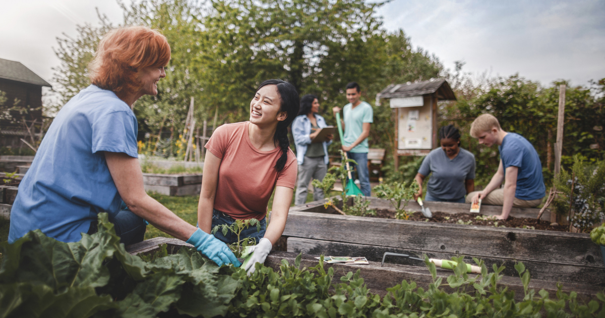 Gemeinschaftsgarten gründen Jetzt starten Zewa