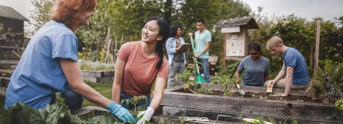 Eine Gruppe von Menschen jeder Altersgruppe arbeiten freudig gemeinsam in einem Community Garten und pflanzen Obst und Gemüse an.